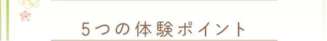 5つの体験ポイント