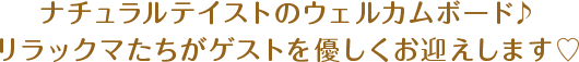 ナチュラルテイストのウェルカムボード♪リラックマたちがゲストを優しくお迎えします♡